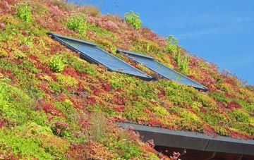 Boughton Corner living roof systems
