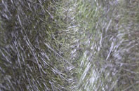 Boughton Corner fibreglass roof work